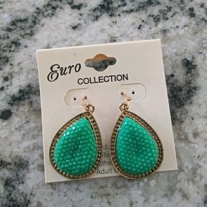Nwt stunning turquoise earrings